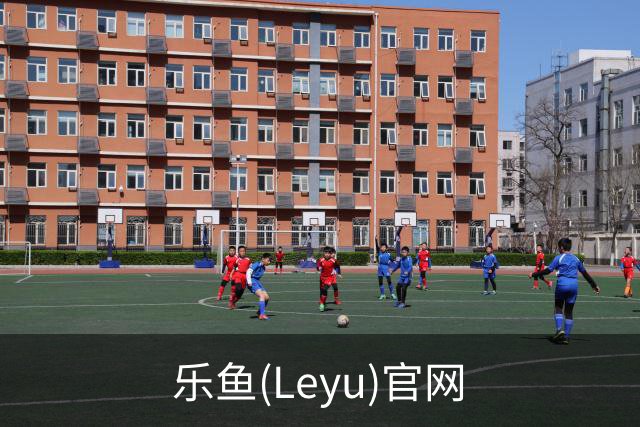 乐鱼(Leyu)官网